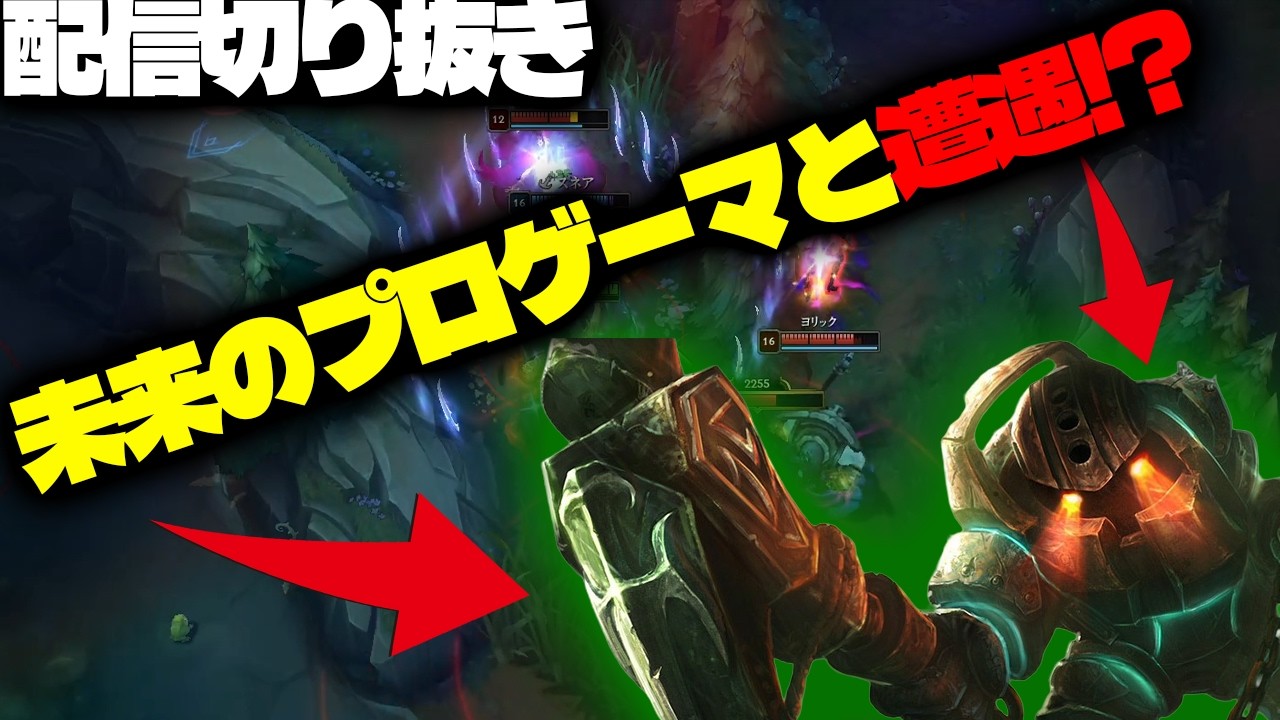 【ヴィエゴJG】未来のプロゲーマ―と自称するSUPが下手すぎた【League of Legends】