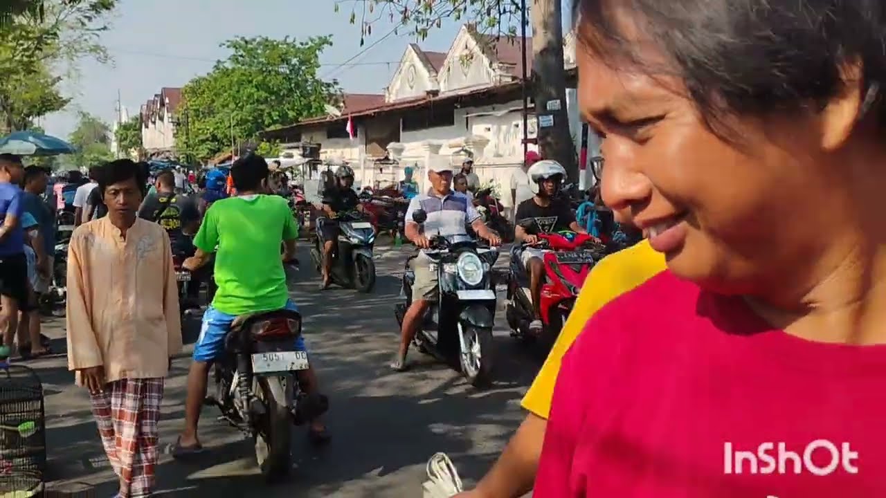 REVIEW PASAR BURUNG PETEKAN SURABAYA.