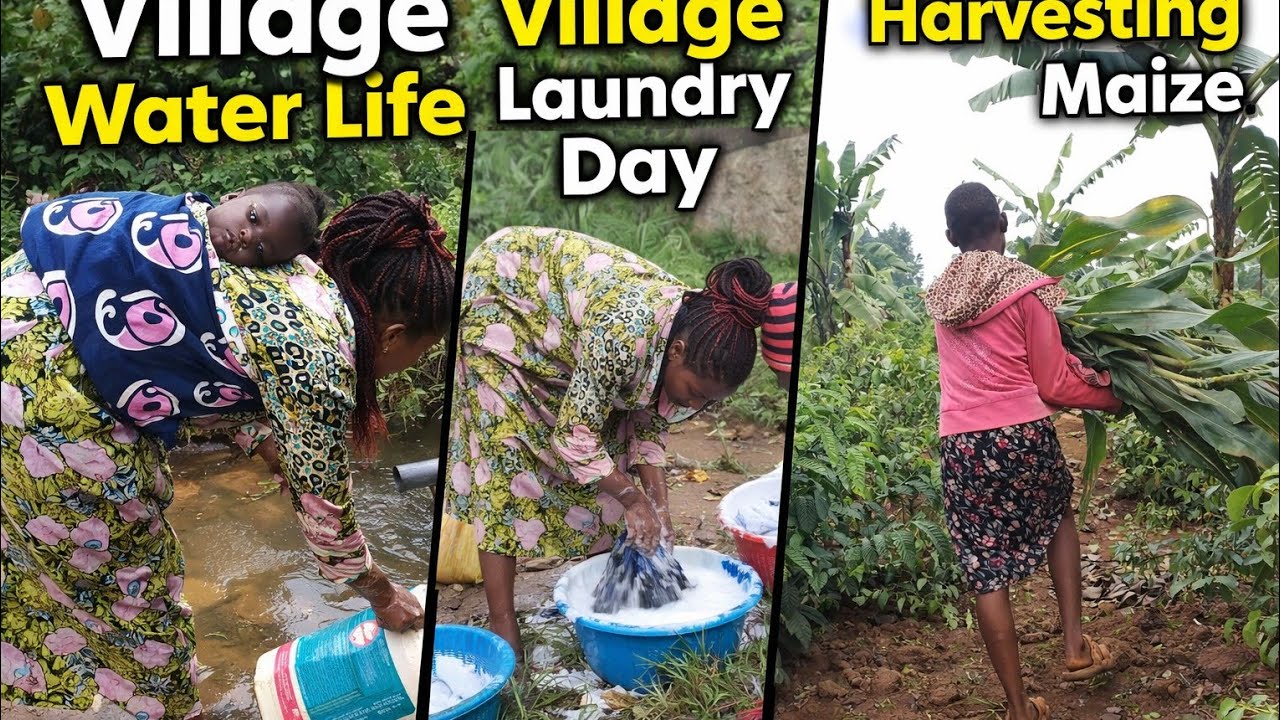 Village Life in Uganda | Sweeping, Steaming Maize & Laundry Day