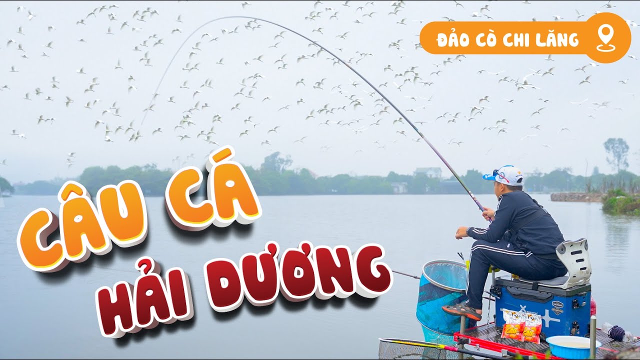 C&acirc;u đủ loại C&aacute; với b&agrave;i mồi Tổng Hợp Gấu | Đảo C&ograve; Hải Dương