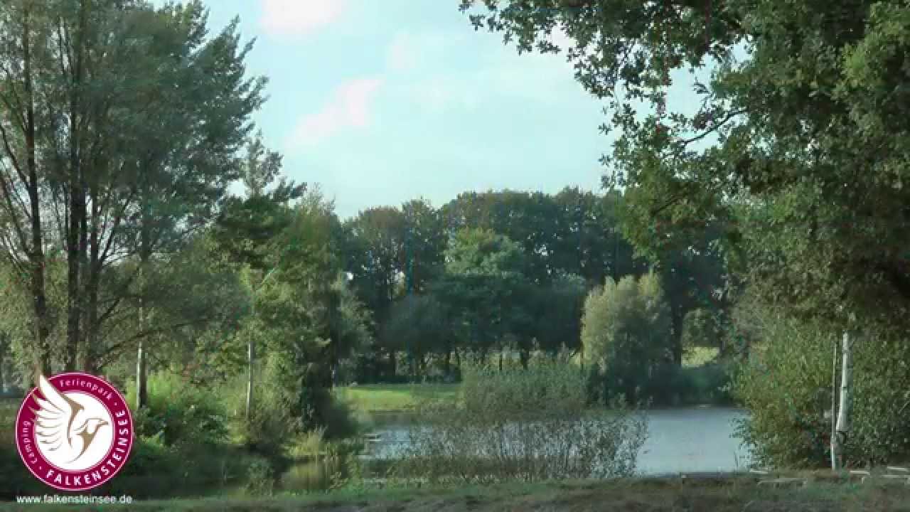 Falkensteinsee Camping & Ferienpark Imagefilm HD