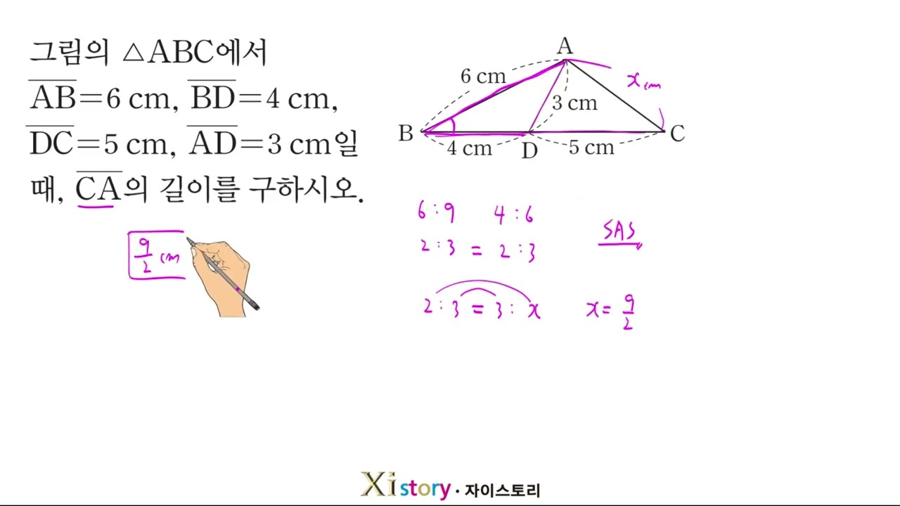 E 도형의 닮음 [잘 틀리는]