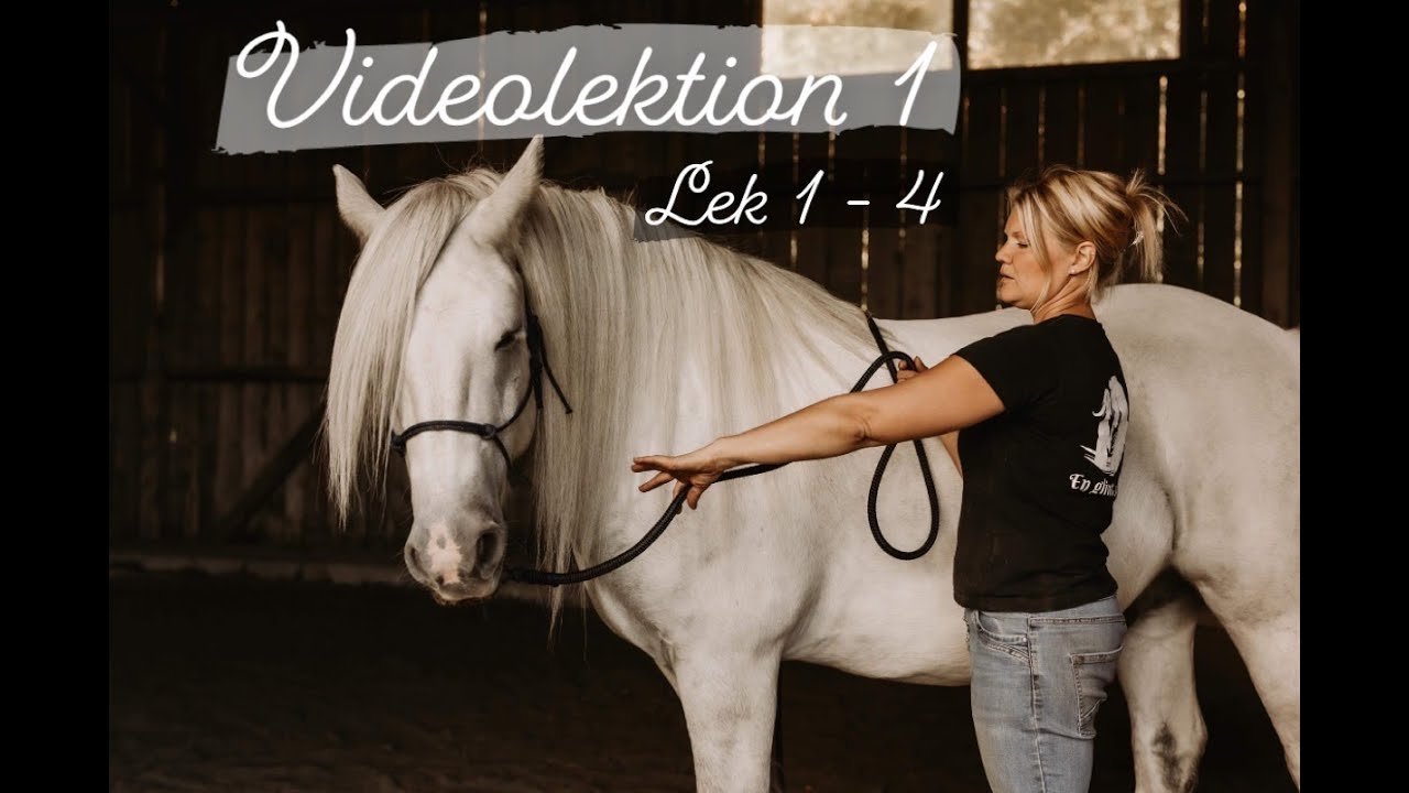 Trailer videolektion 1