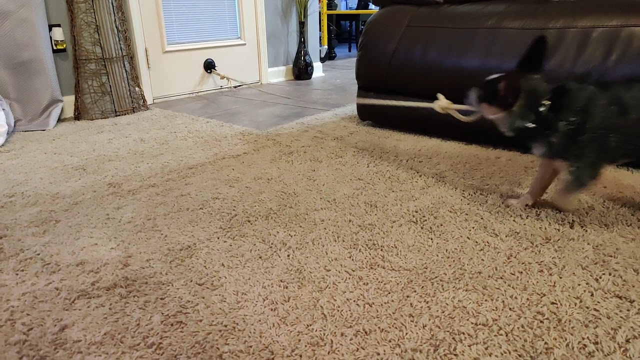 GoPro mount testing