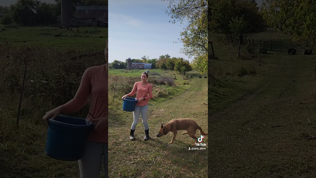 Move the Cows with Me!