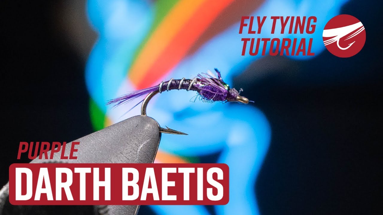Purple Darth Baetis | FLY TYING TUTORIAL