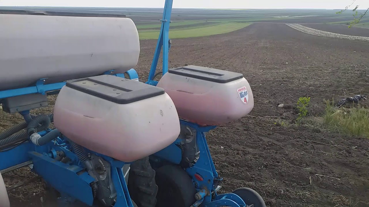 Reglaj densitatea plantelor pe hectar.