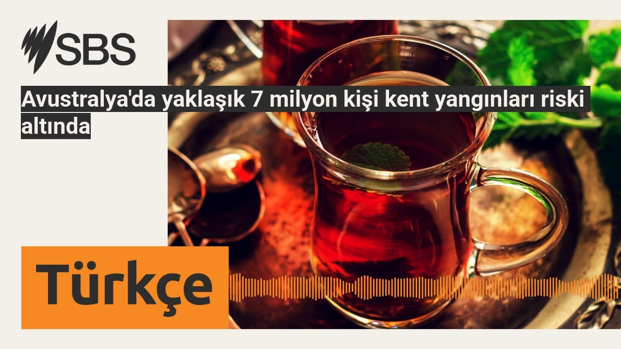 Avustralya'da yaklaşık 7 milyon kişi kent yangınları riski altında | SBS Turkish - SBS Türkçe