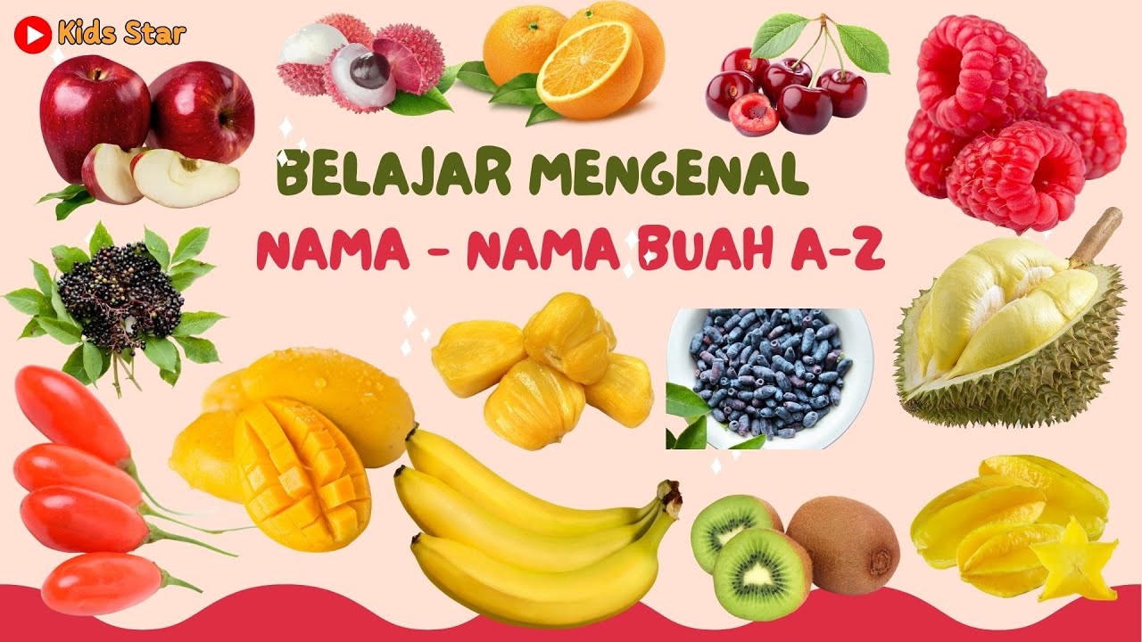 BELAJAR MENGENAL NAMA NAMA BUAH BUAHAN A-Z | LEARNING FRUITS NAME DALAM BAHASA INDONESIA - INGGRIS