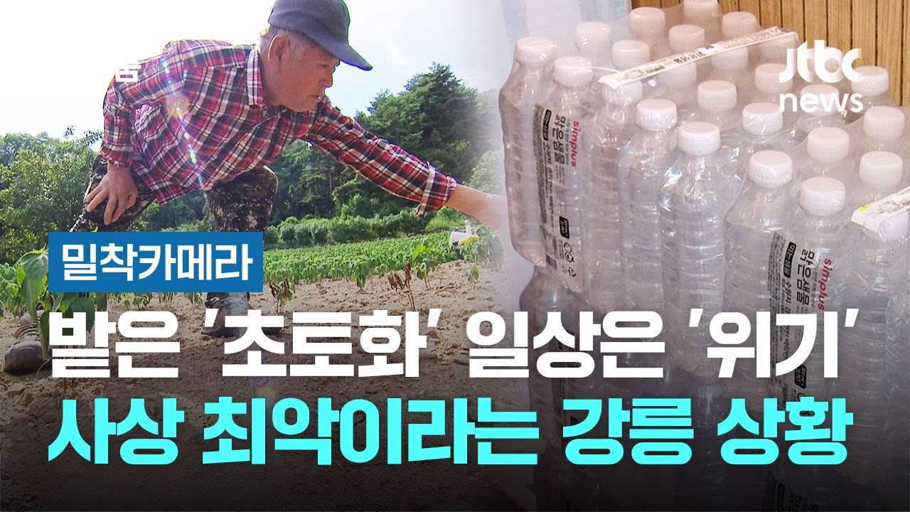 [밀착카메라] 밭은 '초토화' 일상은 '위기'…사상 최악이라는 강릉 상황 / JTBC 뉴스룸