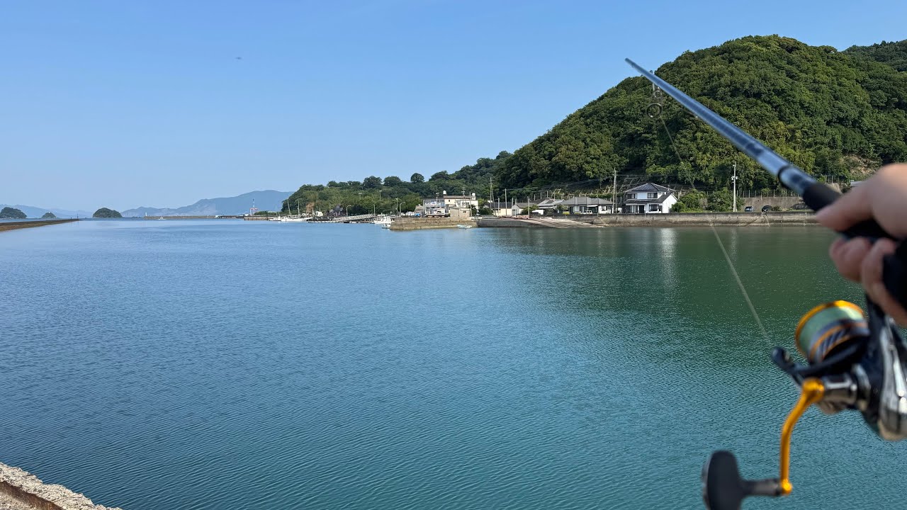 【熊本】釣り初心者が釣りアニメの聖地で釣りしたら最後の最後にドラマがありました！【芦北】