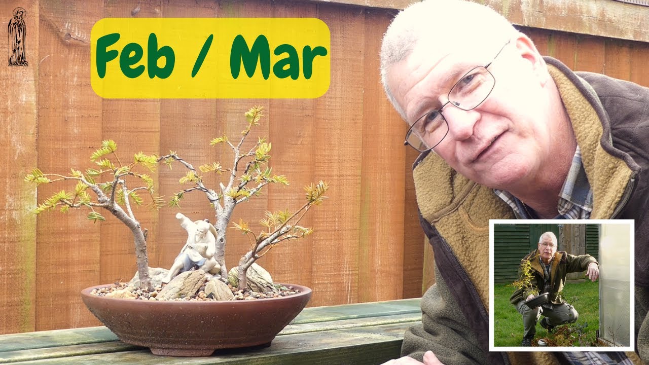 THINK AHEAD, Seasonal Bonsai Tasks, Feb / Mar (Winter)