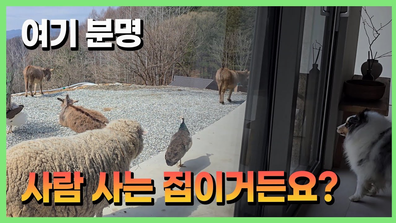 이거 주거침입 아니냐고요...;