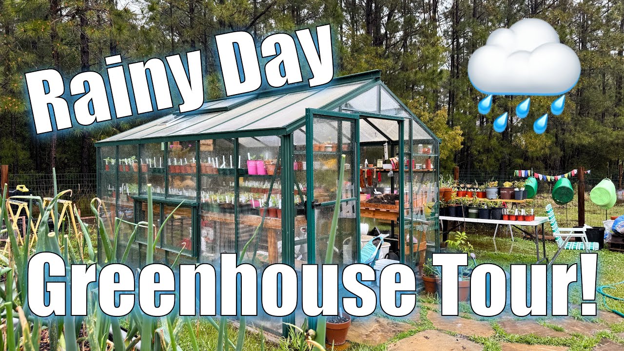 Rainy Day Greenhouse Tour 🌧️