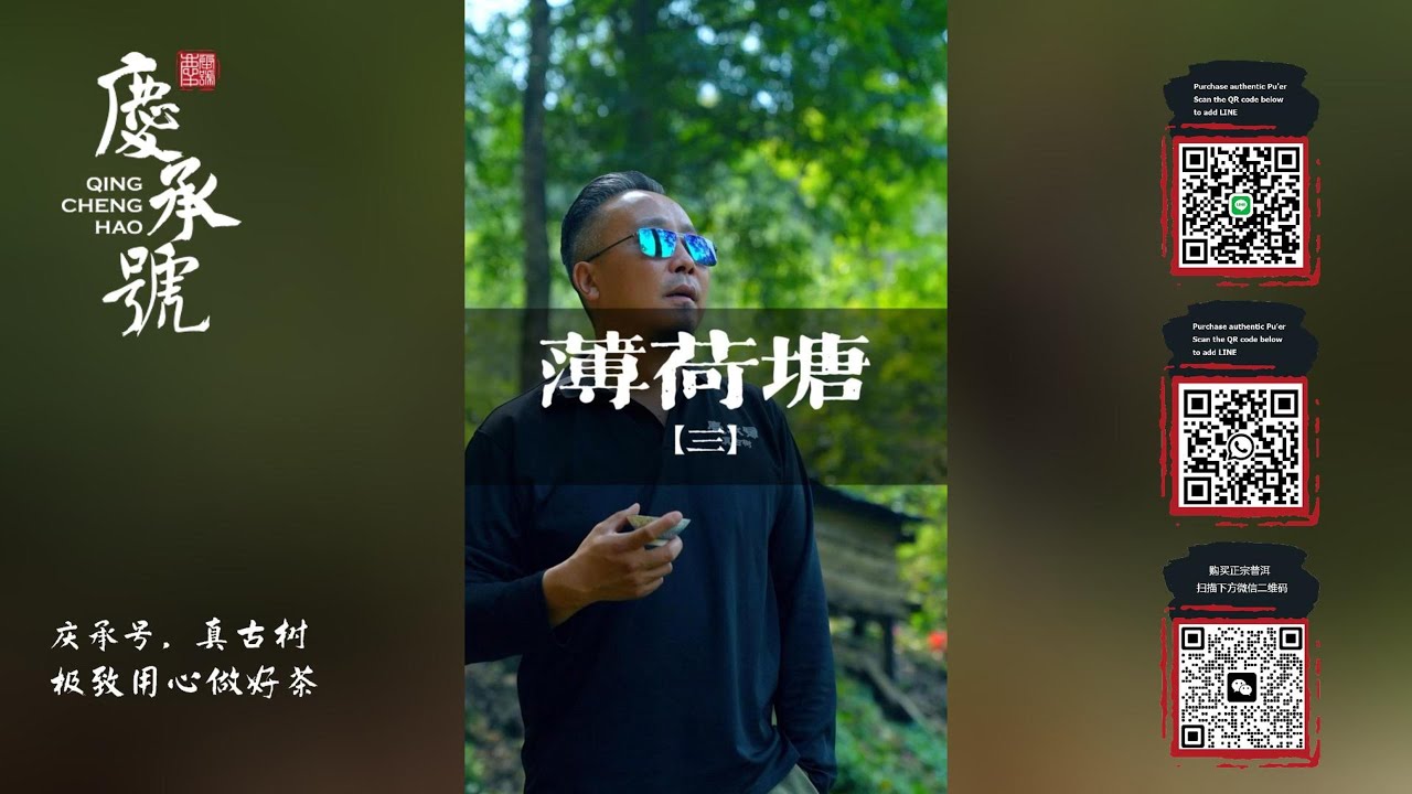 什么才是真正的薄荷塘普洱茶？薄荷塘古树茶为什么这么好喝？#庆承号#薄荷塘#易武古树茶#普洱茶#古树普洱茶