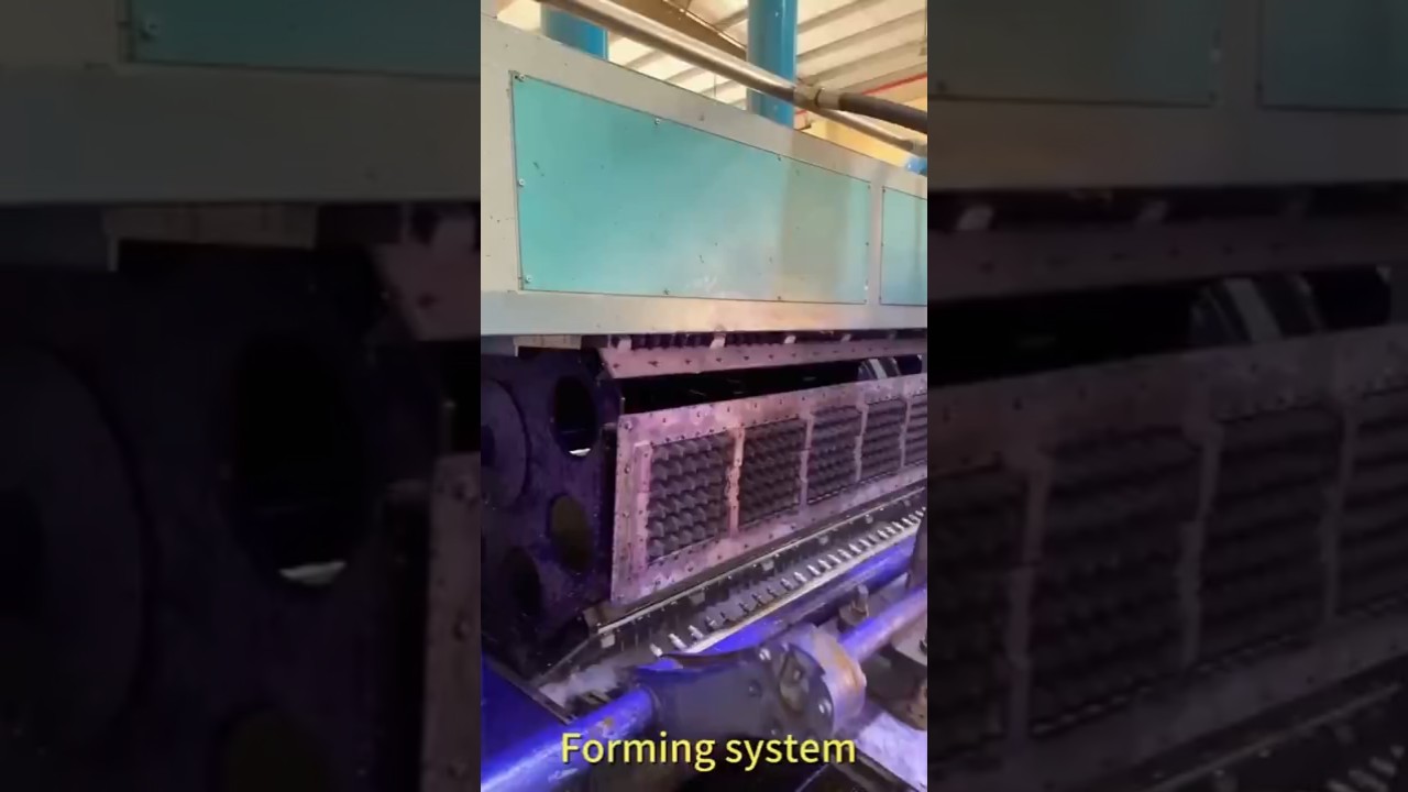 Fully Automatic Paper Pulp Molding Machine | Egg Tray Making Machine Manufacturer#egg tray machine
