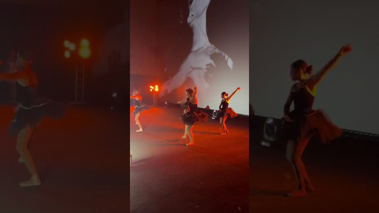 turma de balé clássico infantil e  intermediário 1 coreografia o lago dos cisne