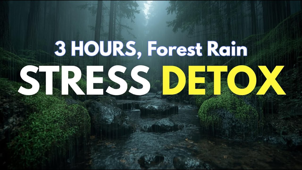 3 Hours of Forest Rain for Stress Relief and Deep Calm | Forest Rain ASMR - Leafy Raindrops