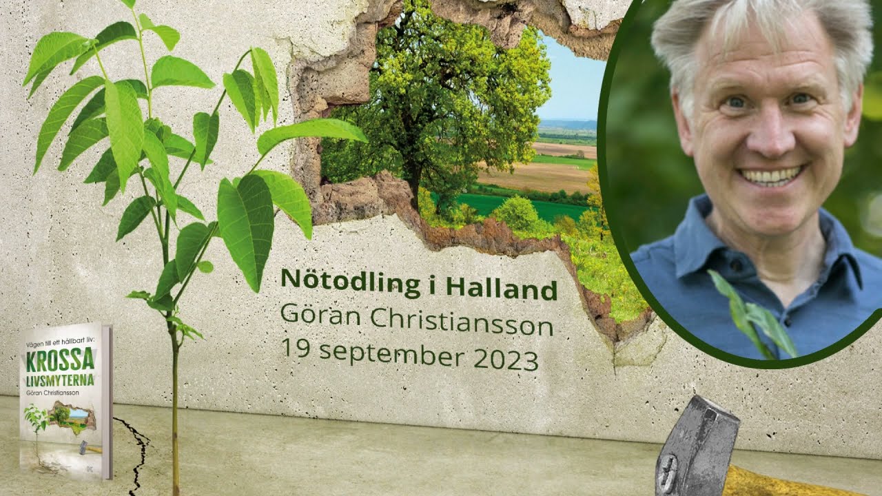 Nötträd - Stadsbiblioteket i Halmstad - Göran Christiansson