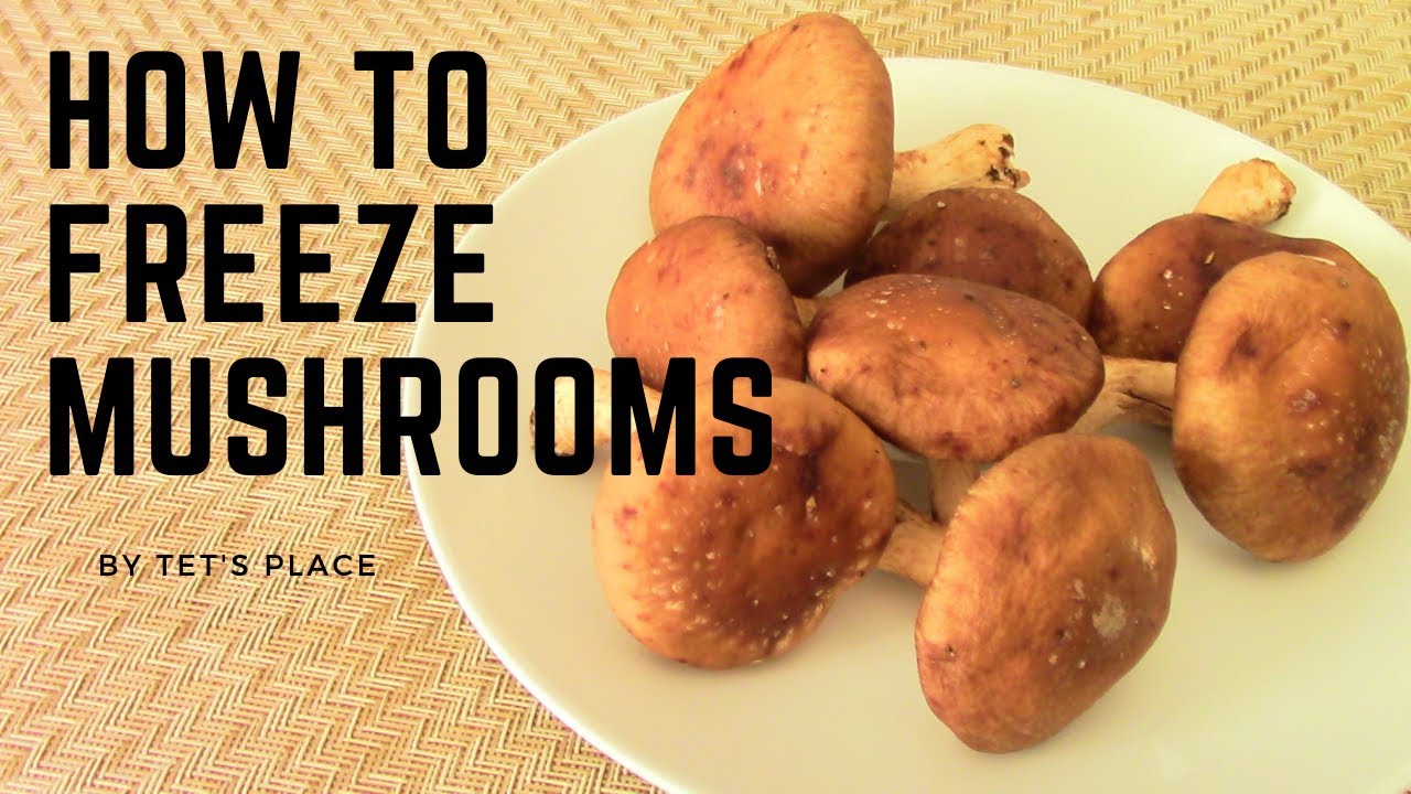 Frugal Tip | How to freeze mushrooms | Save Money
