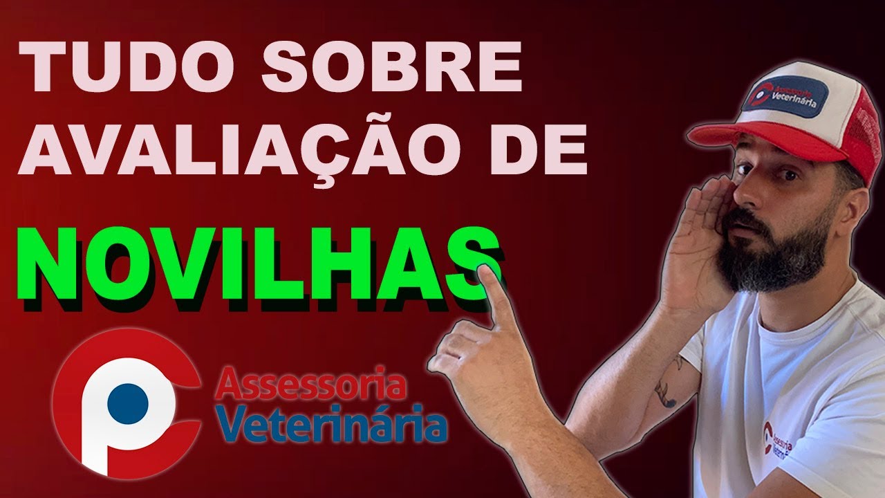 AVALIAÇÃO DE NOVILHAS PARA IATF -Principais características para avaliar | CP Assessoria Veterinária