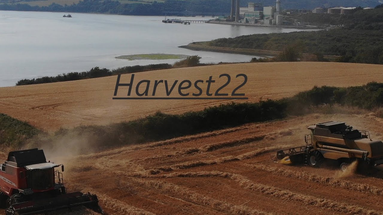 Harvest 22 with a view