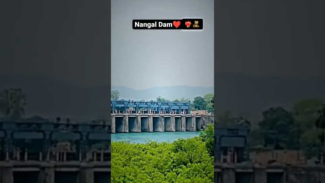 Nangal dam