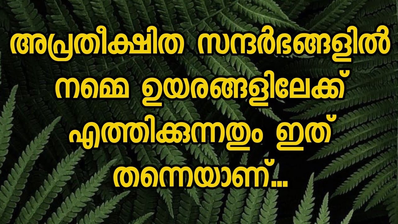Life Quotes | Malayalam Quotes | Spreading Quotes | Life Changing Quotes