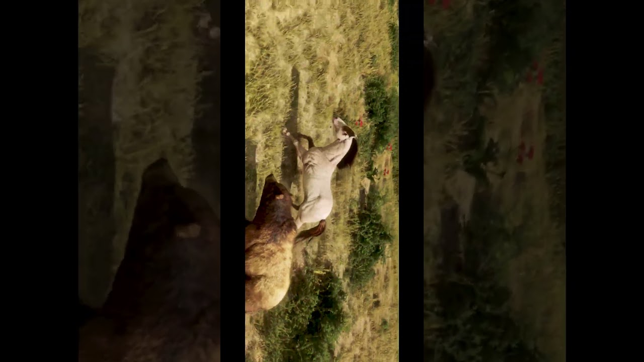 Run for Survival: Perlino Horse Chased by Two Grizzly Bears