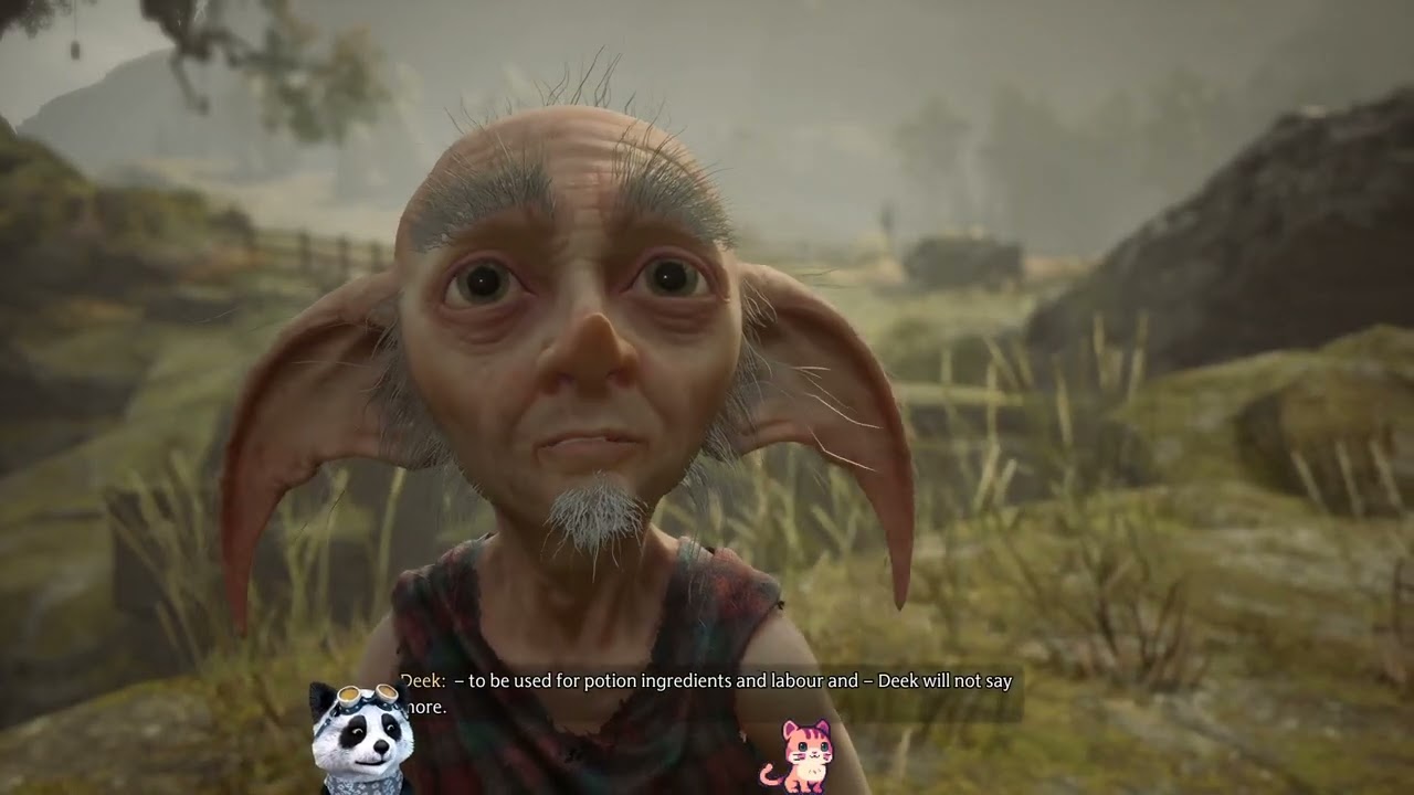 Tianlein plays Hogwarts Legacy (12)
