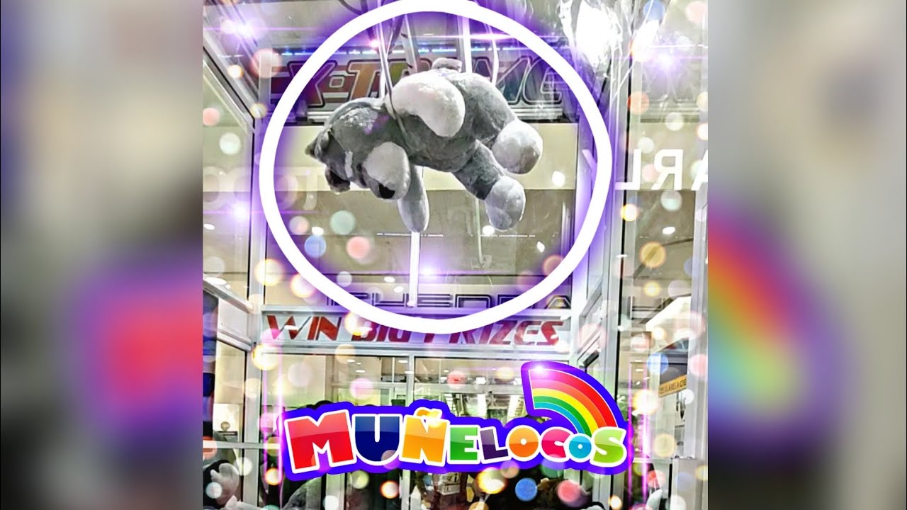 Ganamos 5 peluches gigantes 🐻🐶🎇 | Máquina muñelocos xtreme #muñelocos #peluche
