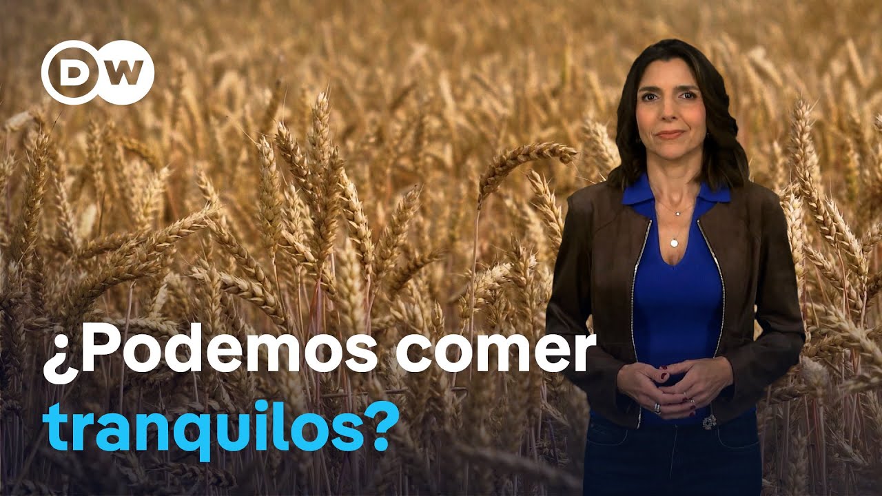 Por qué tenemos miedo a los alimentos modificados genéticamente