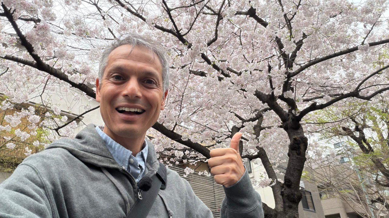 В Токио вовсю цветет сакура, как долго она сможет оставаться в этом цветущем состоянии?