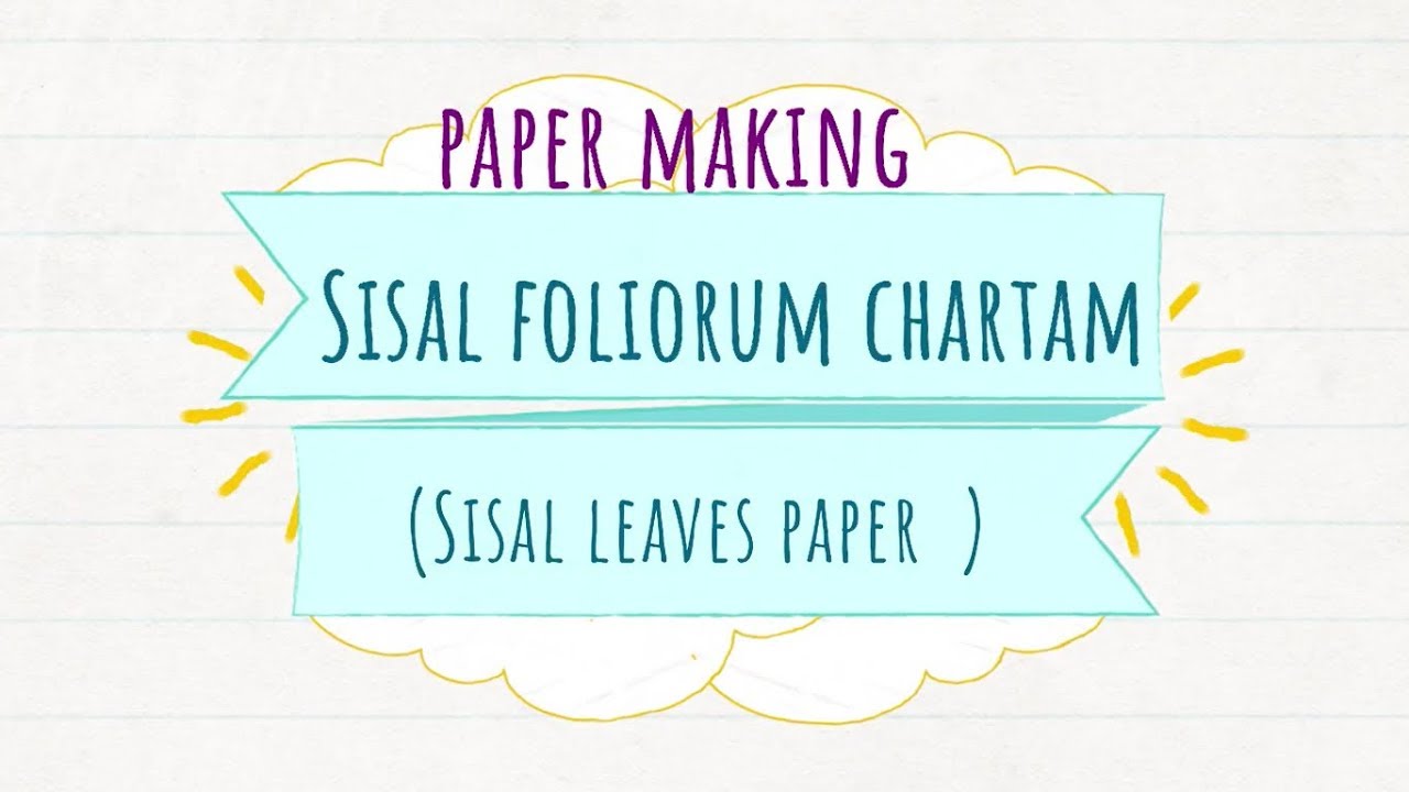 (DIY) Hand Made Paper Making Out of Sisal Leaves