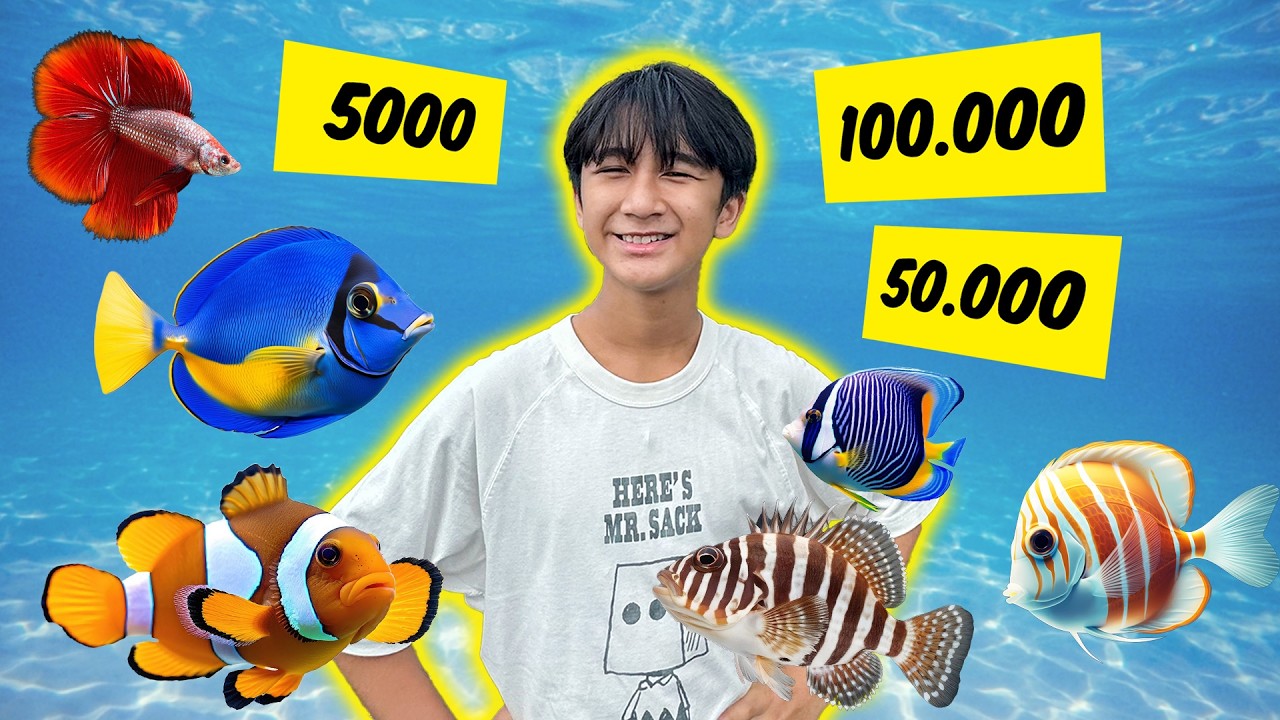 CHALLENGE BELI IKAN HIAS 5.000 VS 100.000 - Superduper Ziyan
