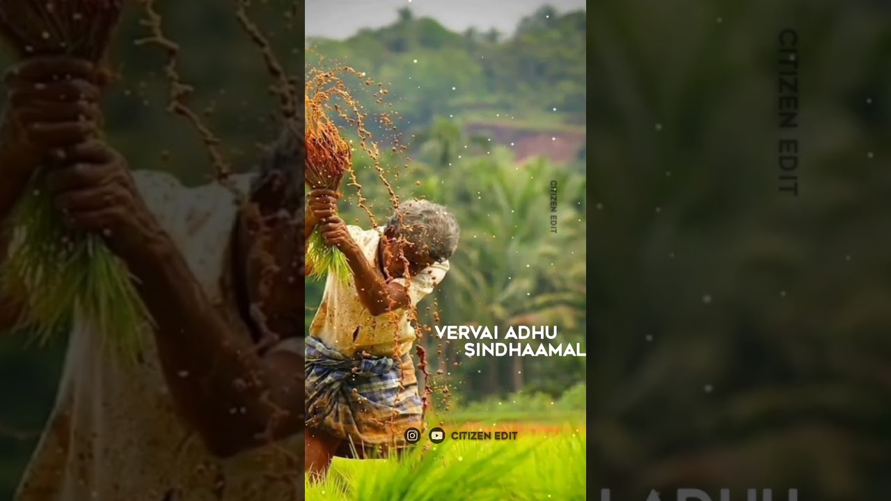 Nellin vidhai podaamal song#save farmer#tamil motivation💞whatsapp status💕fullscreen vedio