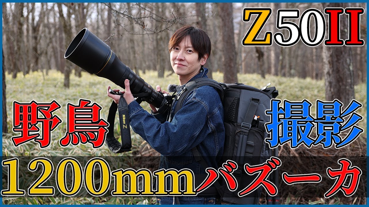 ニコンz50IIで野鳥を撮影しに来た