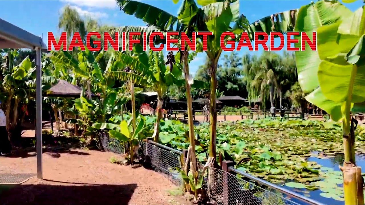 BLUE LOTUS GARDENS