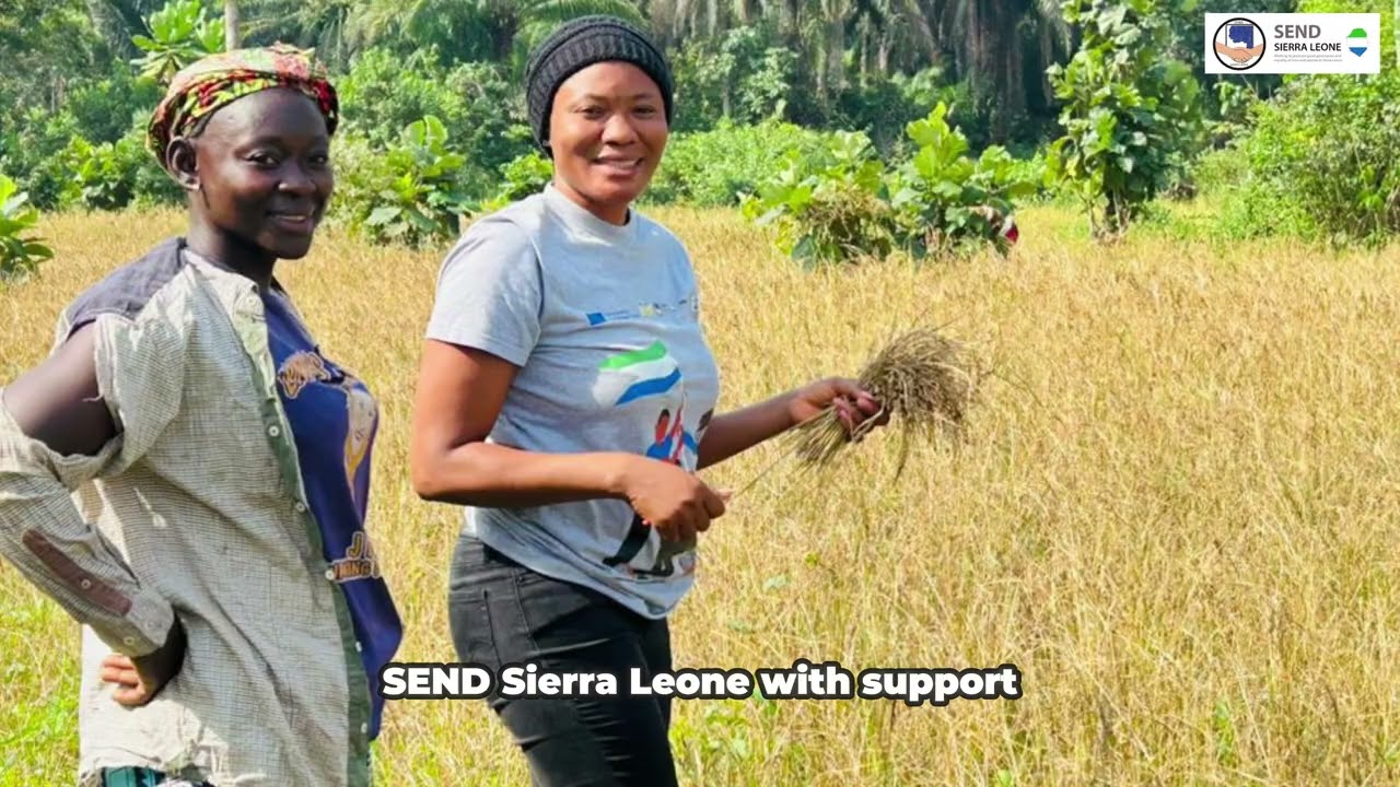 Weekly Impact Recap | Building Peace, Empowering Women & Communities 🇸🇱✨