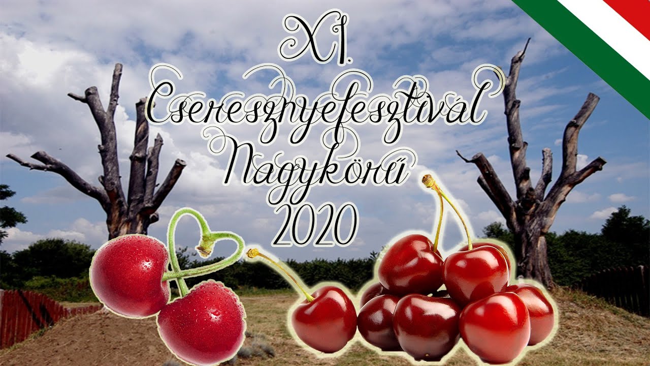 XI. Cseresznyefesztivál Nagykörűn | 2020.06.21| Nagykörű