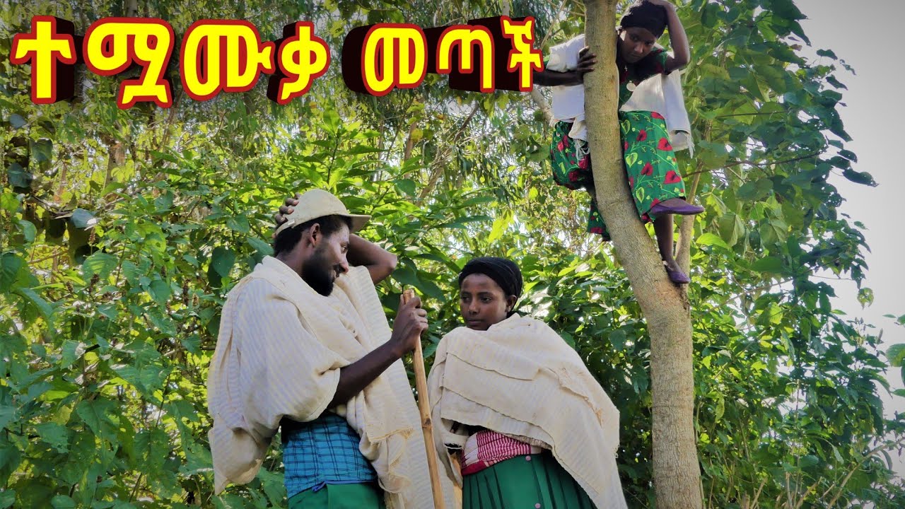 ተሟሙቃ መጣች !! ምርጥ የገጠር አዝናኝ ድራማ ( Temuamuka metach adis yegeter comedi drama)