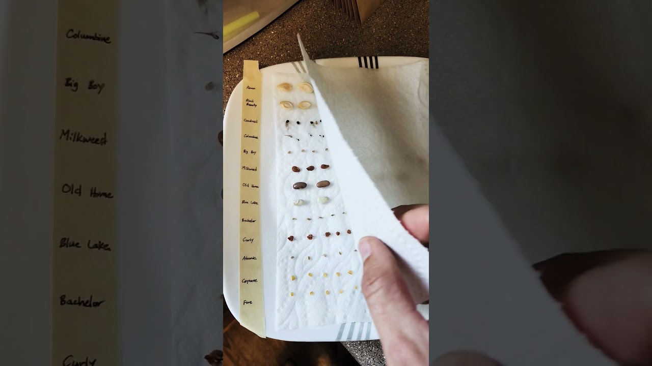 Seed Viability Test