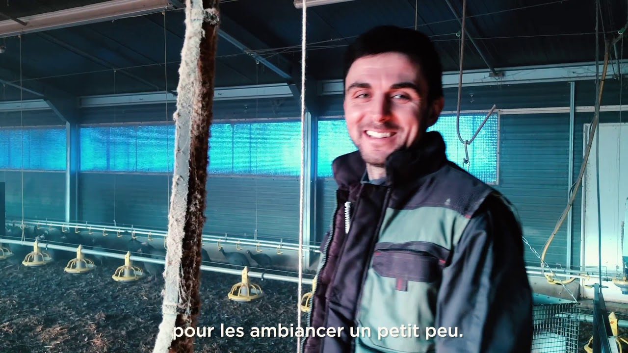 Épisode 5 « Les secrets de Nicolas, éleveur de pintades »
