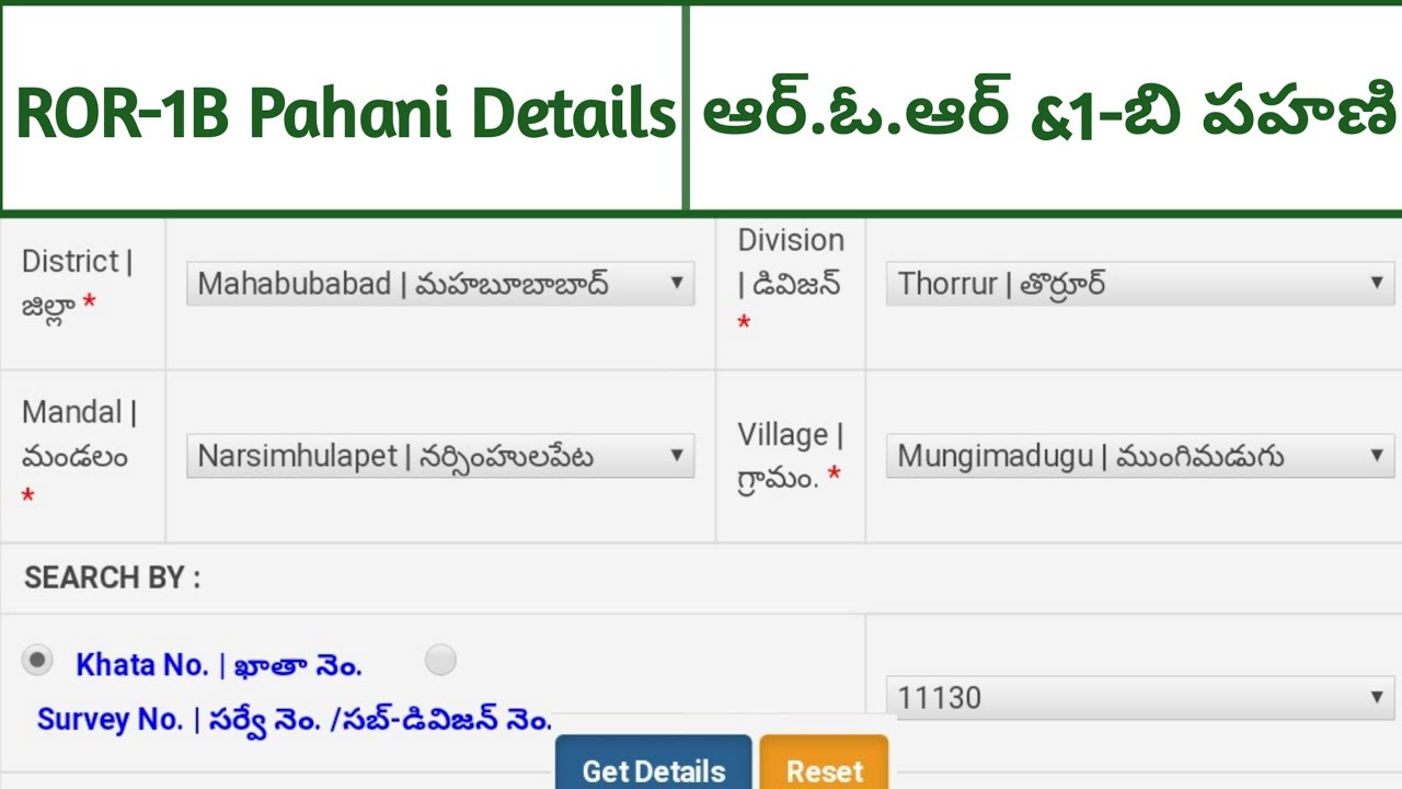 How to get ROR Pahani-One B (1B) Details from Your Survey No. and Katha Number !! Telugu Patashala.