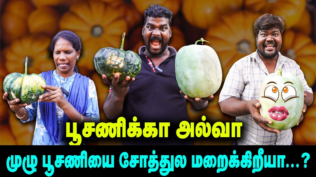 பூசணிக்கா அல்வா | முழு பூசணிக்காவ சோத்துல மறைக்க பாக்குரிய   |  Thakali COMEDY
