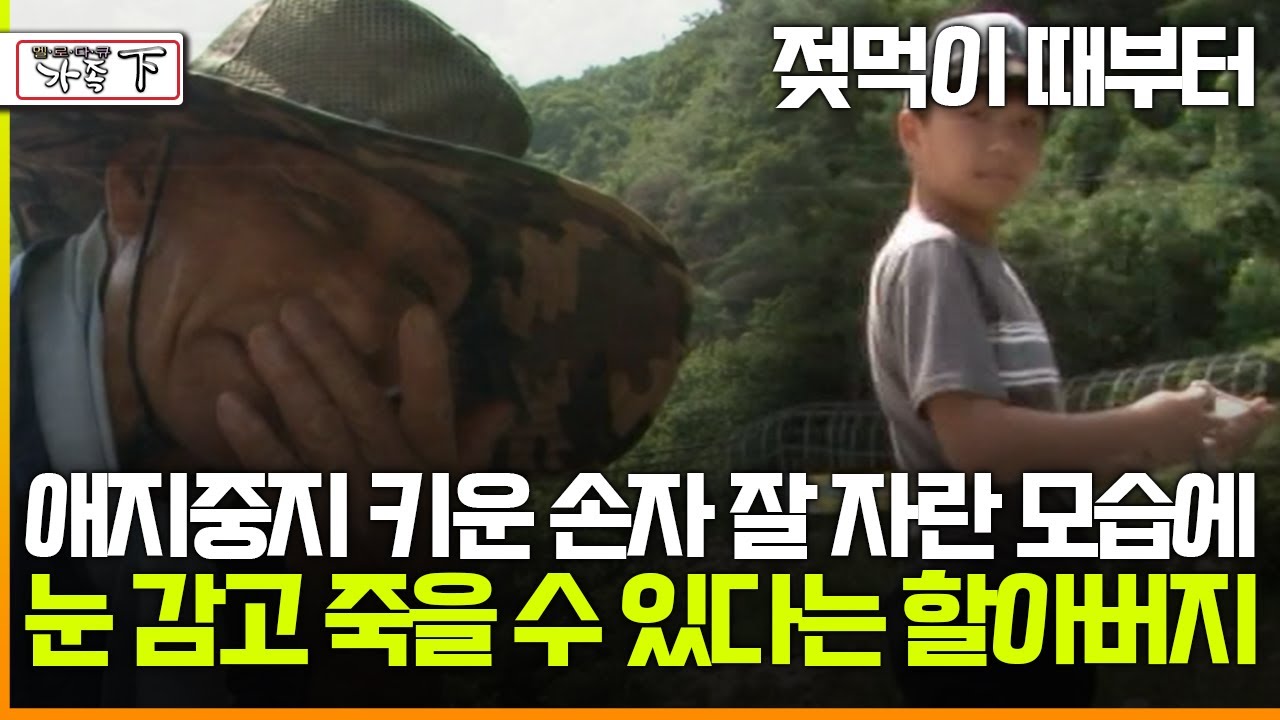 [멜로다큐 '가족' 392회 下] 젖먹이 때부터 애지중지 키운 손자 잘 자란 모습에 눈 감고 죽을 수 있다는 78살 할아버지