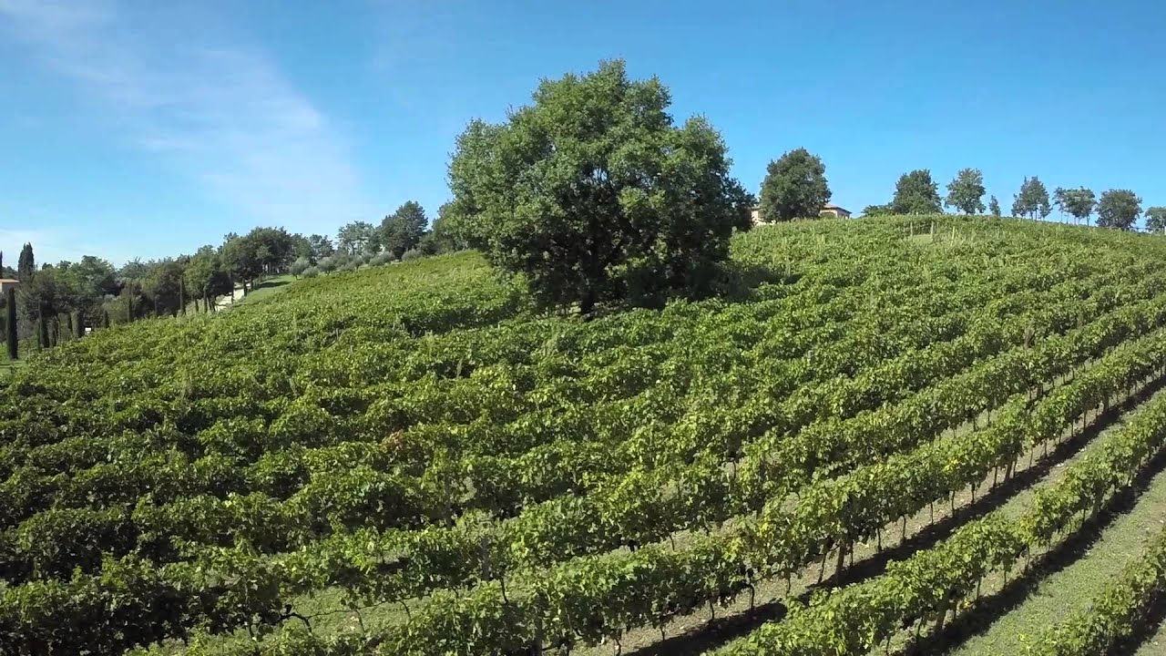 Tenuta Saiano