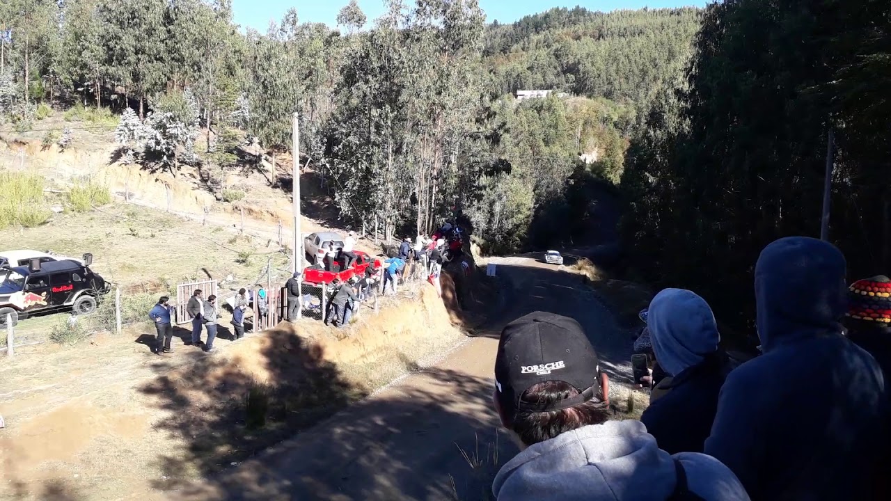 WRC RALLY CHILE 2019 / SS3 ESPIGADO 1 / E. EVANS
