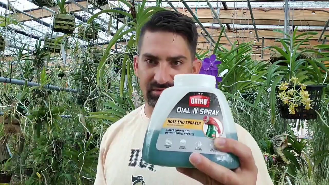 When and how to use Bloom Booster for your orchids....EASY!!