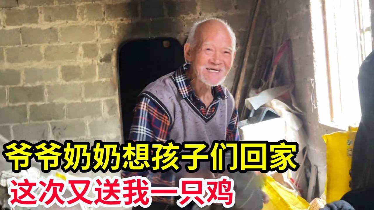 爷爷奶奶养猪只为孩子们回家！我每次吃完还要带回家，这次又加送一只鸡！【山农乐哥】